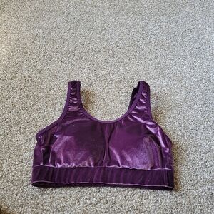 Torrid Dark Purple Velvet Size L Sports Bra